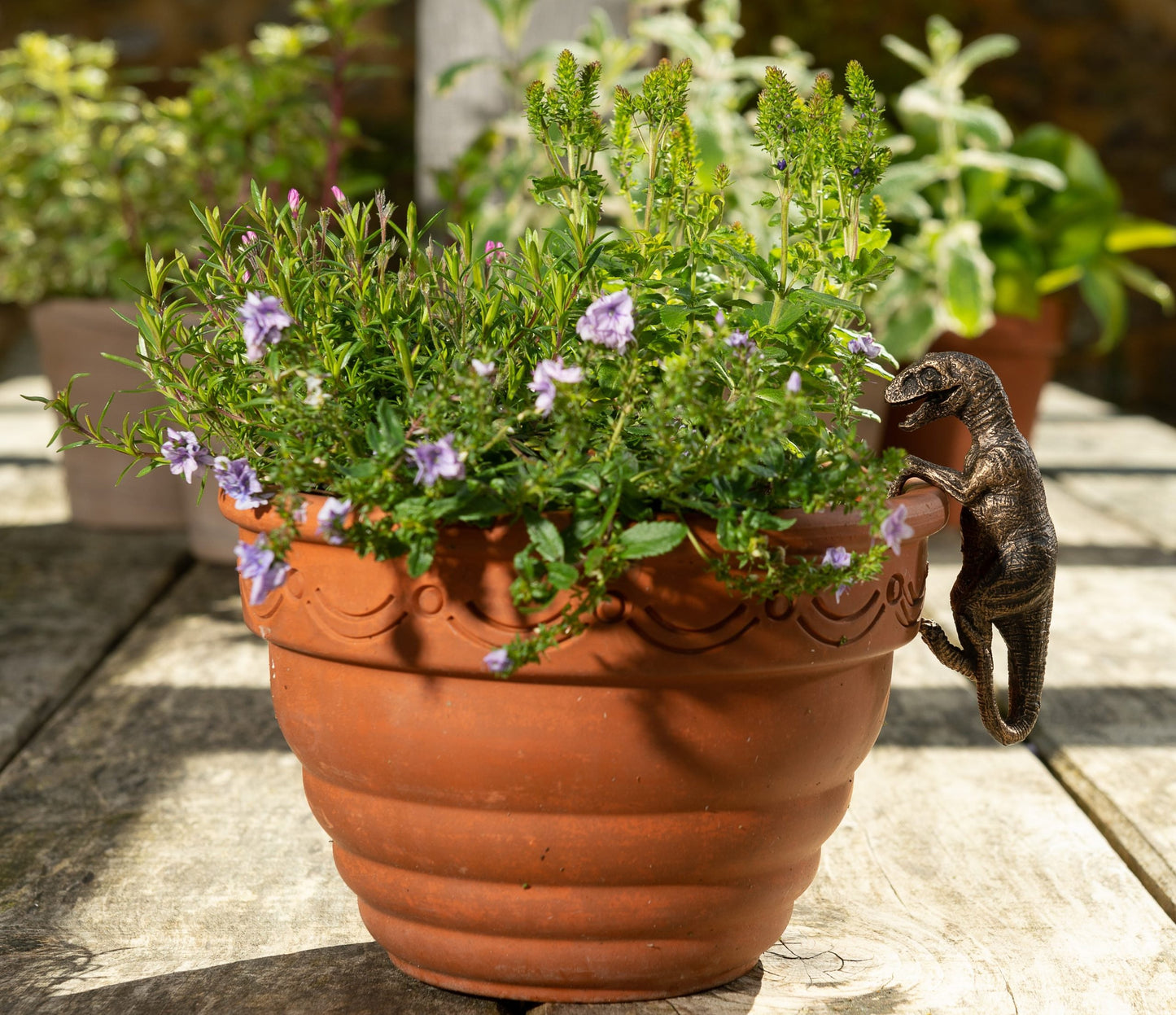 🌿🦕 Dinosaur Pot Buddy Trio — Stegosaurus, Brachiosaurus & Velociraptor