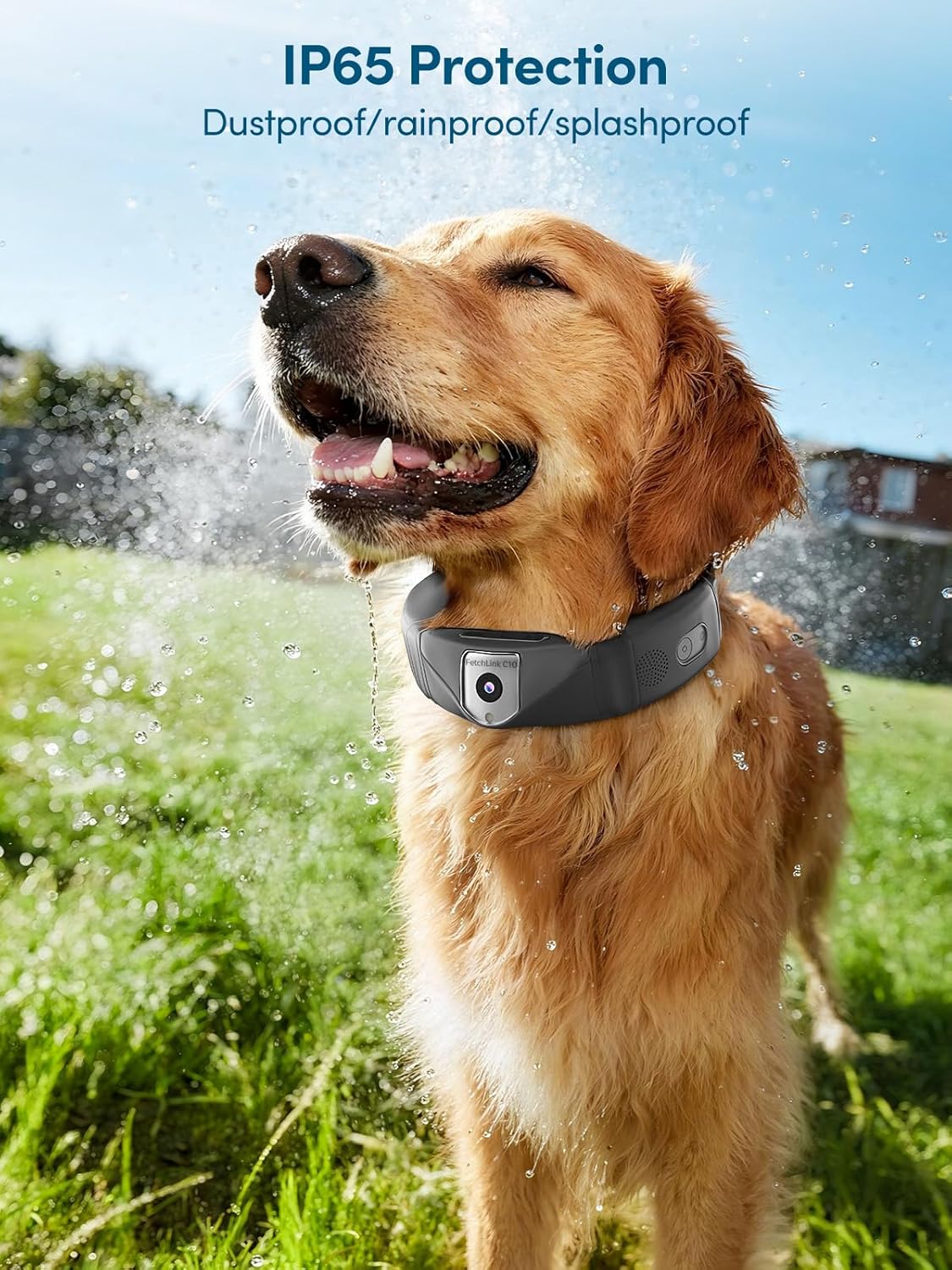 🔥Black Friday sale today only, enjoy 50%OFF -Deroopy™ Smart 2K Camera Dog Collar – 4G Wireless GPS Fence for Medium & Large Dogs