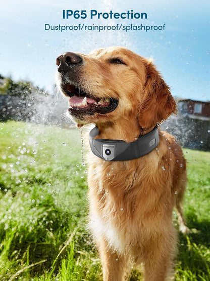 🔥Black Friday sale today only, enjoy 50%OFF -Deroopy™ Smart 2K Camera Dog Collar – 4G Wireless GPS Fence for Medium & Large Dogs
