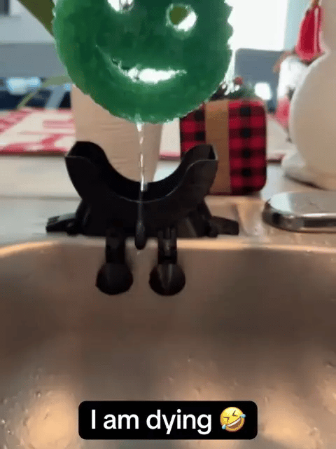 Smiling Eggshell Sponge Drainer Stand
