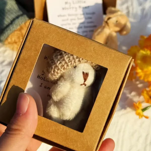 ⏰Final 3 Hours: Only $9.99🎉🎁Handmade Mini Plush Teddy Bear in Box