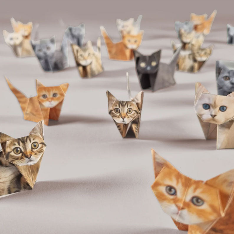 🔥LAST DAY 54% OFF DIY Paper Cats
