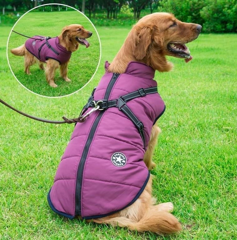 🔥Last Day Promotion 49% OFF - Waterproof Winter Jacket with Built-in Harness
