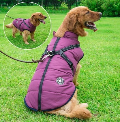 🔥Last Day Promotion 49% OFF - Waterproof Winter Jacket with Built-in Harness