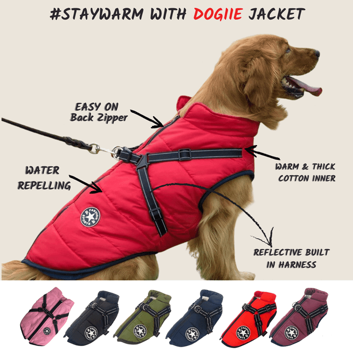 🔥Last Day Promotion 49% OFF - Waterproof Winter Jacket with Built-in Harness