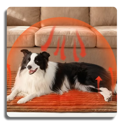 Self-Warming Cat & Dog Mat: Thermal Pet Bed Pad for Indoor/Outdoor Non-Slip & Extra Warm