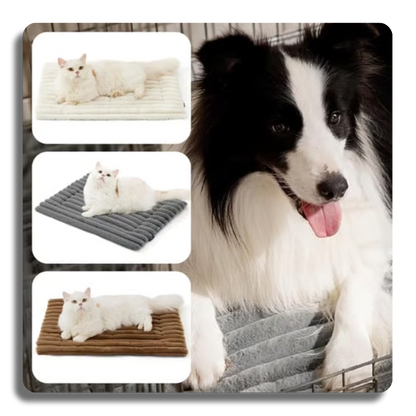 Self-Warming Cat & Dog Mat: Thermal Pet Bed Pad for Indoor/Outdoor Non-Slip & Extra Warm