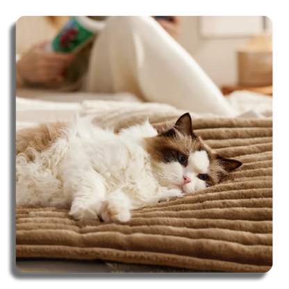 Self-Warming Cat & Dog Mat: Thermal Pet Bed Pad for Indoor/Outdoor Non-Slip & Extra Warm