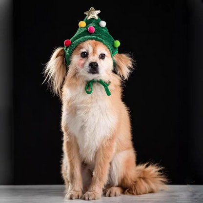 🔥50% OFF — Adorable Pet Christmas Outfits Just Dropped! Only 39.99 ( W a s 39.99(Was79.98)