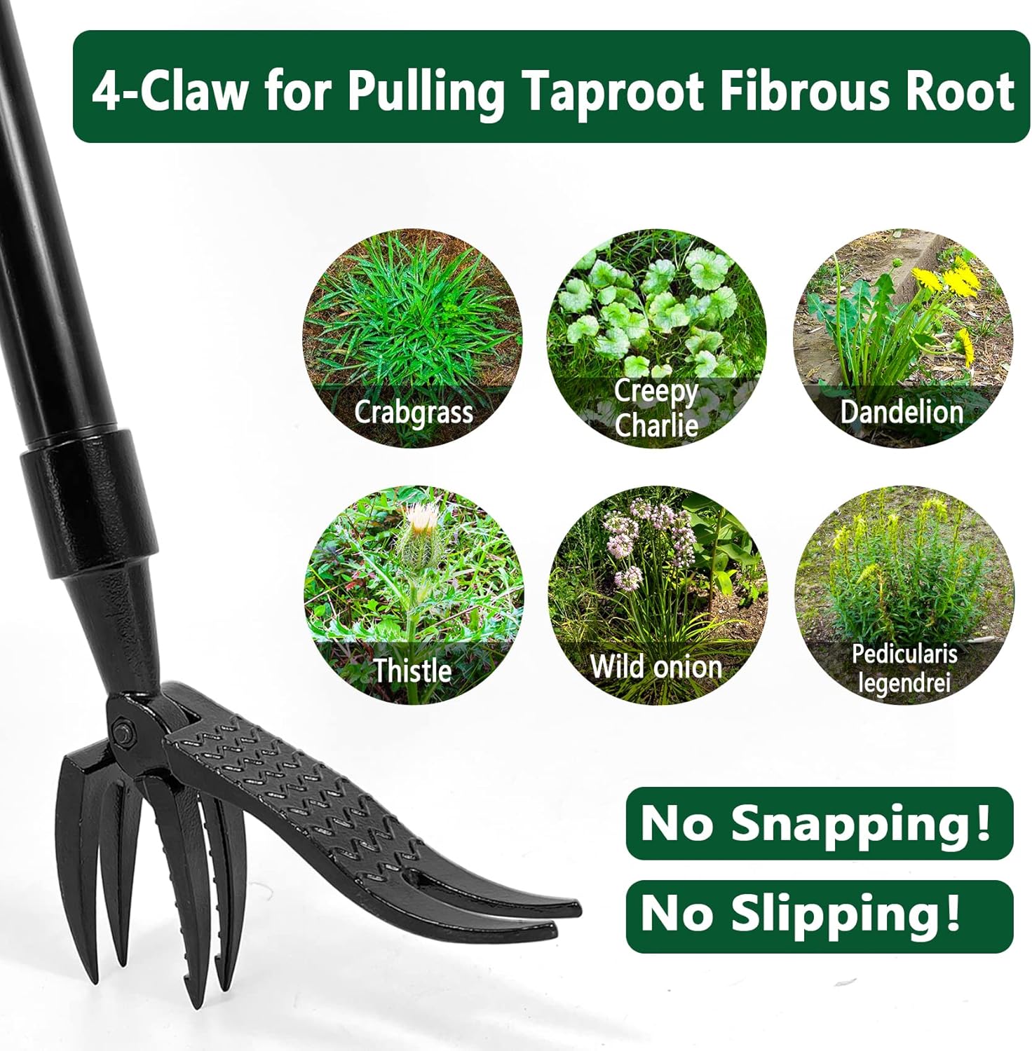 Detachable Stand Up Weed Puller Head（Without the handle）