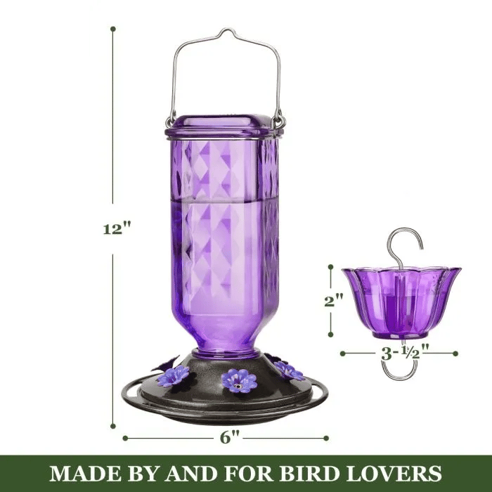 💥 Hummingbird Feeder