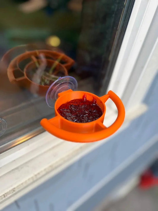 2026 🐦Bird Feeder Suction Cup Holder