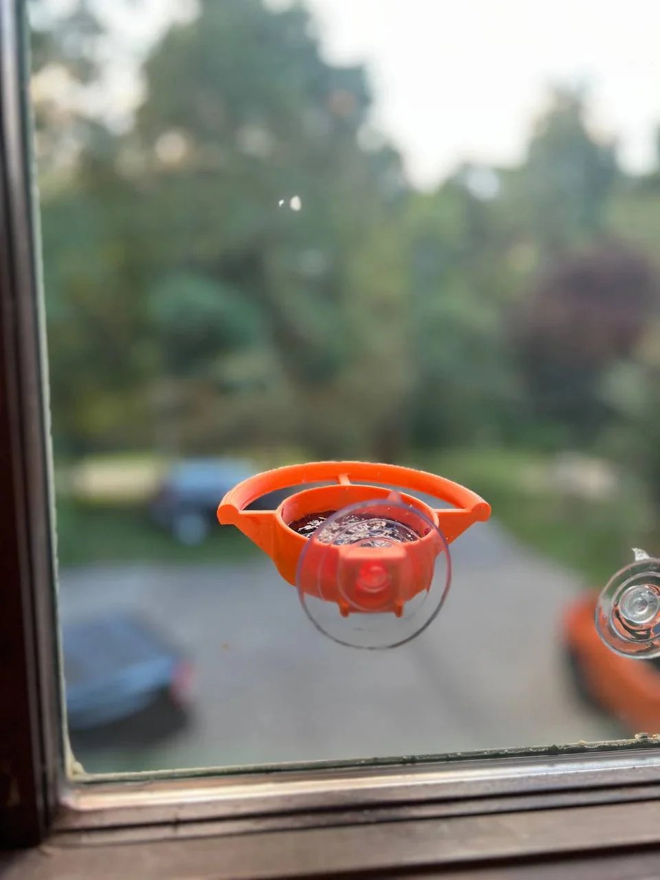 2026 🐦Bird Feeder Suction Cup Holder