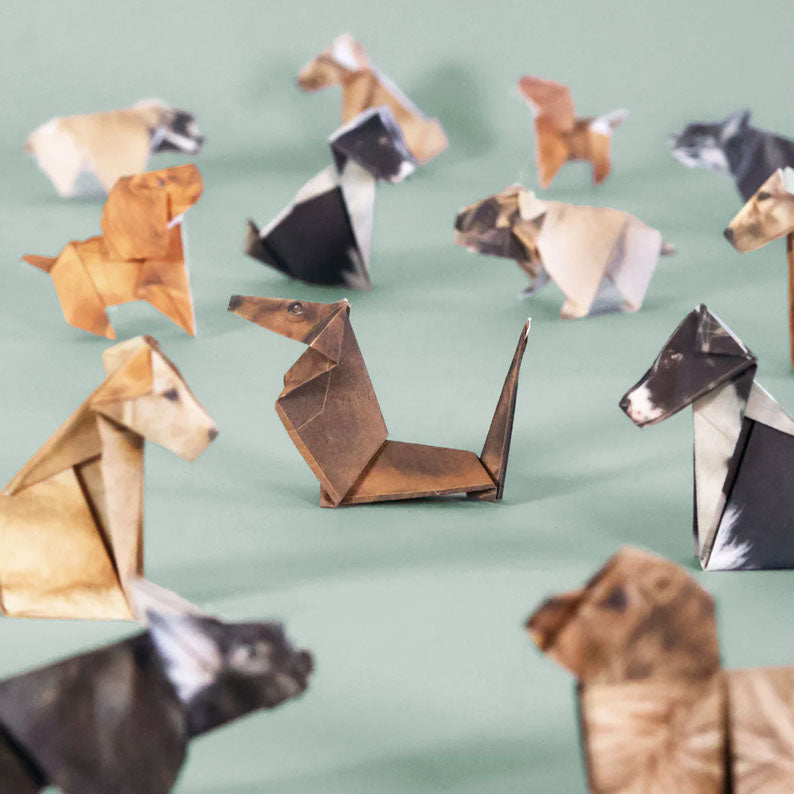 🔥LAST DAY 54% OFF DIY Paper Cats