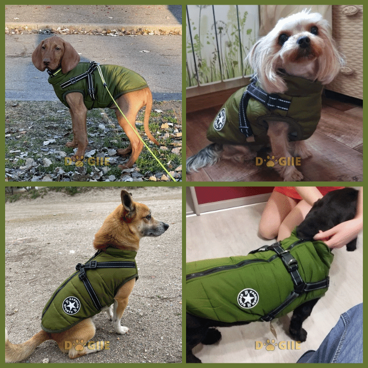 🔥Last Day Promotion 49% OFF - Waterproof Winter Jacket with Built-in Harness