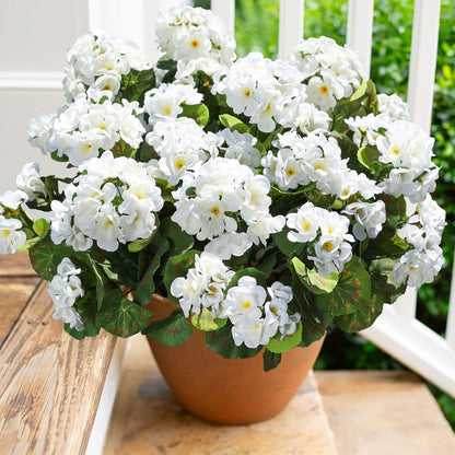 🌺🌷Artificial Fake Petunia Flowersfor Outdoor Decoration ✨(2Pcs)