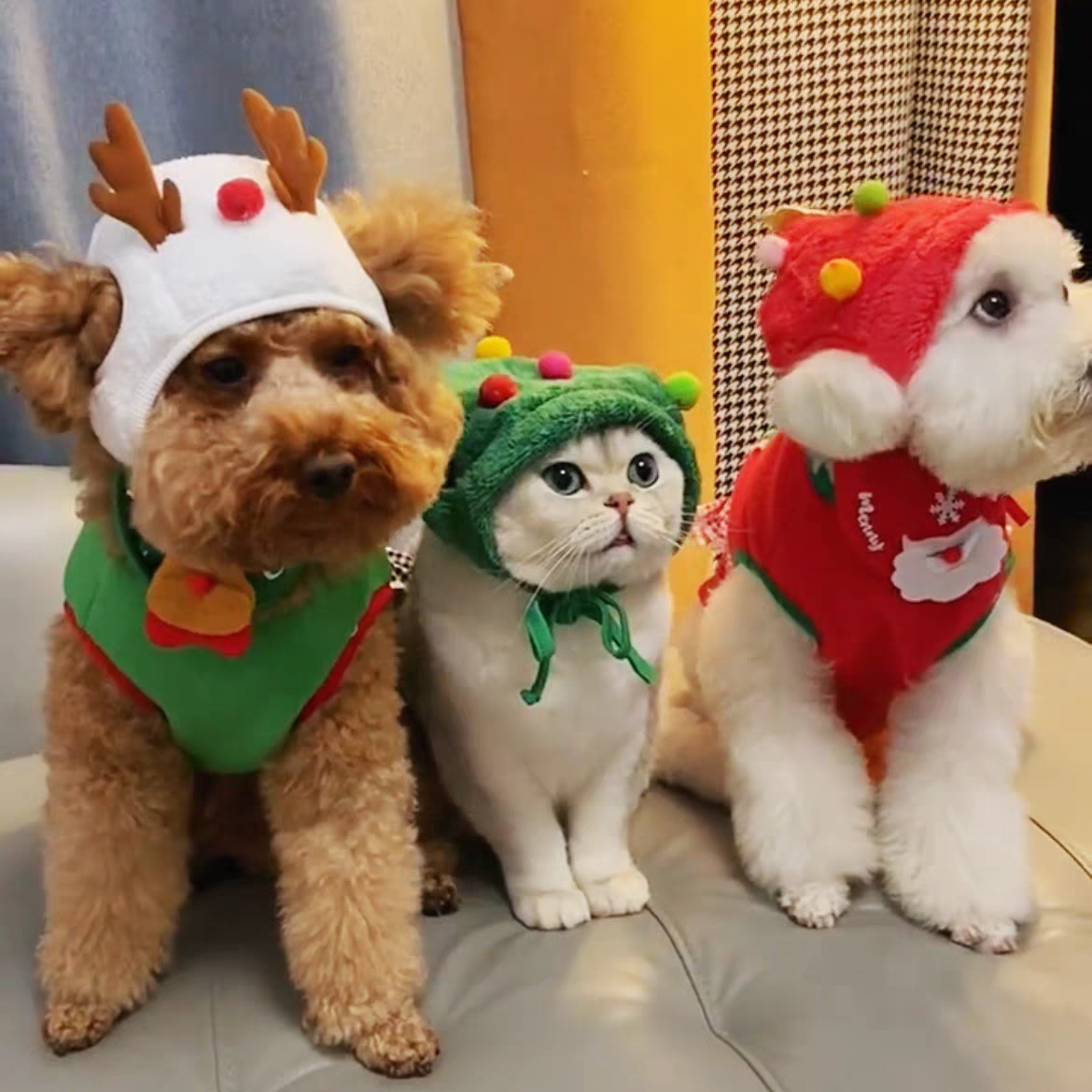 🔥50% OFF — Adorable Pet Christmas Outfits Just Dropped! Only 39.99 ( W a s 39.99(Was79.98)