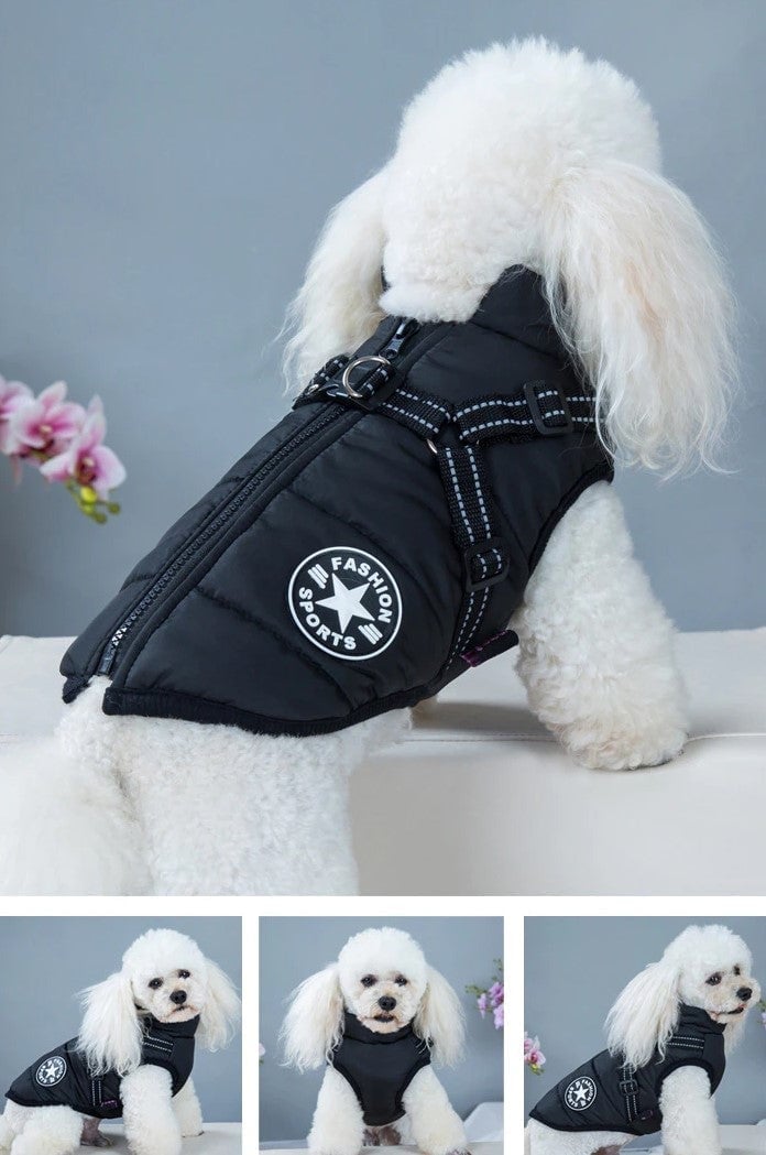 🔥Last Day Promotion 49% OFF - Waterproof Winter Jacket with Built-in Harness
