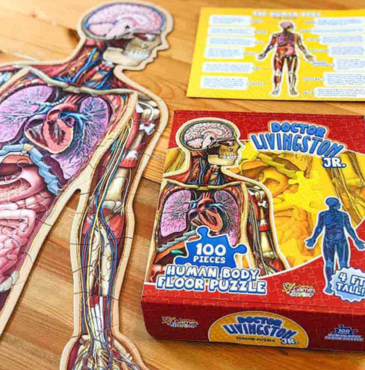 🔥Hot Sale 49% off🌟Kid's 100 Piece Human Body Floor Puzzle