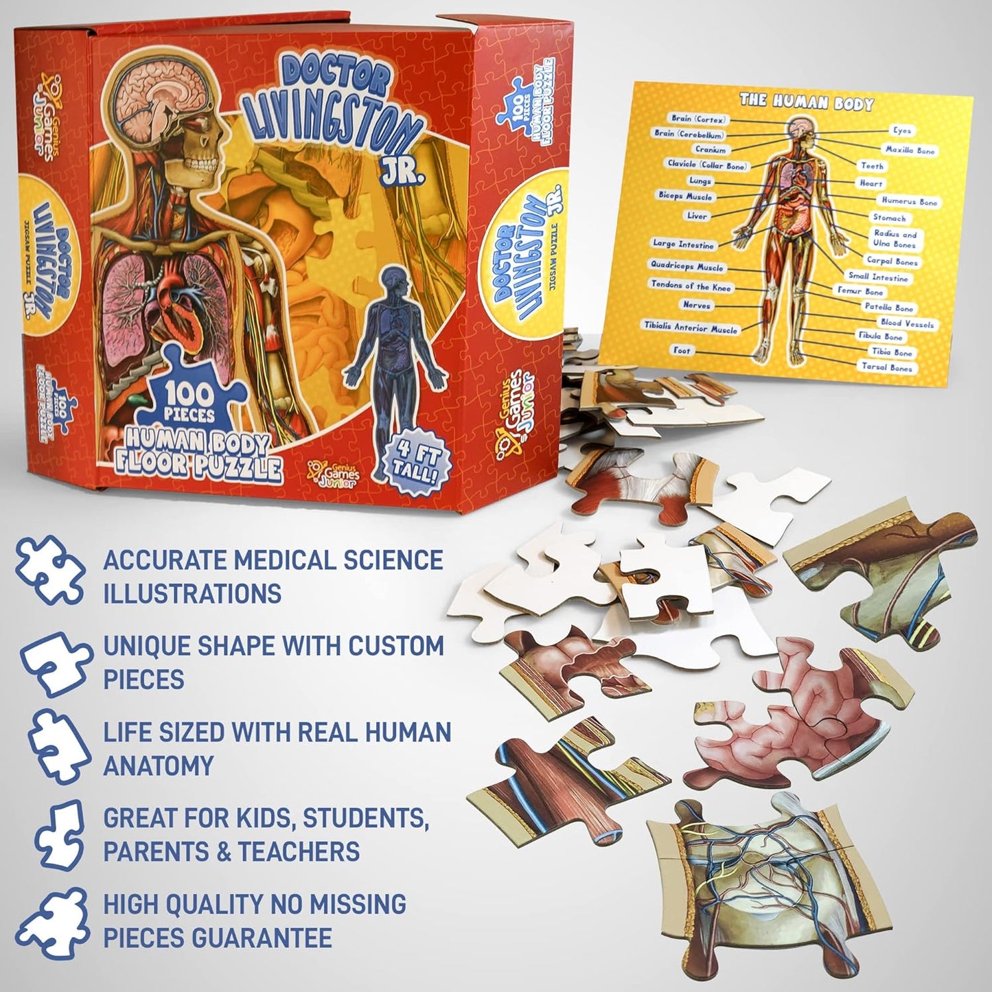 🔥Hot Sale 49% off🌟Kid's 100 Piece Human Body Floor Puzzle