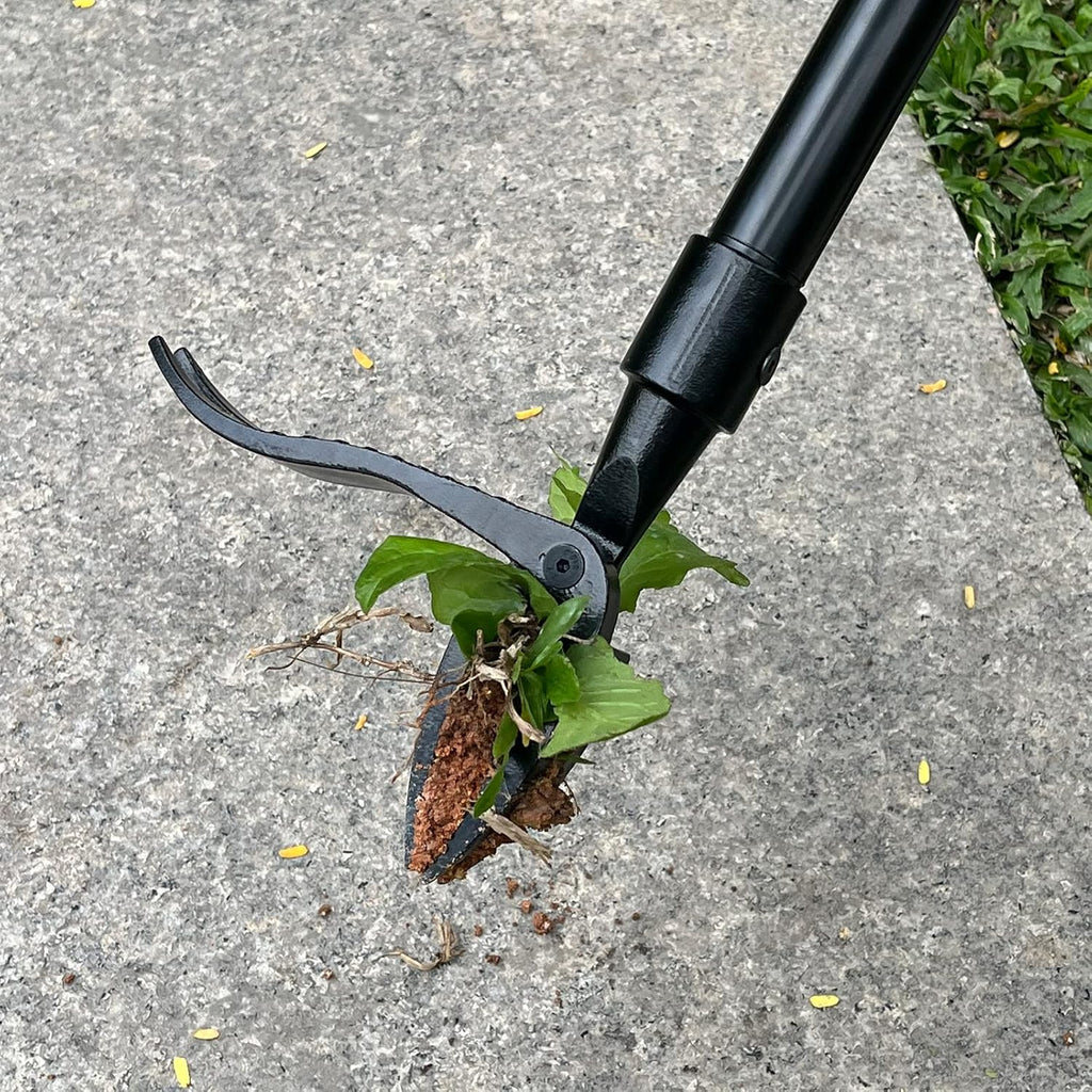 Detachable Stand Up Weed Puller Head（Without the handle）