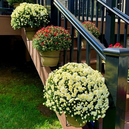🌿Adjustable Non-slip Hanging Flowerpot Shelf🌿