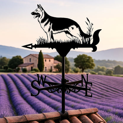 🌬️ Express Your Style with Unique Weather Vanes 🌬️