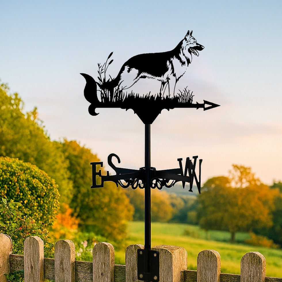 🌬️ Express Your Style with Unique Weather Vanes 🌬️