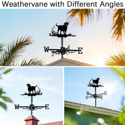 🌬️ Express Your Style with Unique Weather Vanes 🌬️