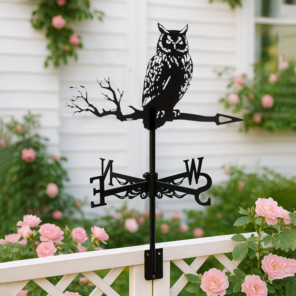 🌬️ Express Your Style with Unique Weather Vanes 🌬️