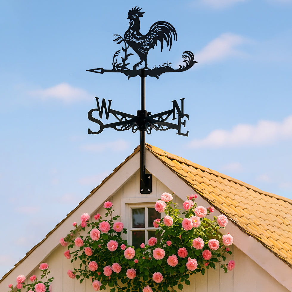 🌬️ Express Your Style with Unique Weather Vanes 🌬️