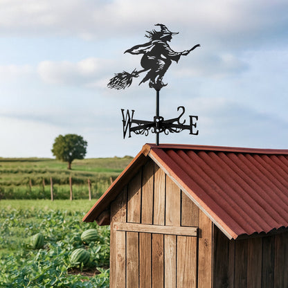 🌬️ Express Your Style with Unique Weather Vanes 🌬️