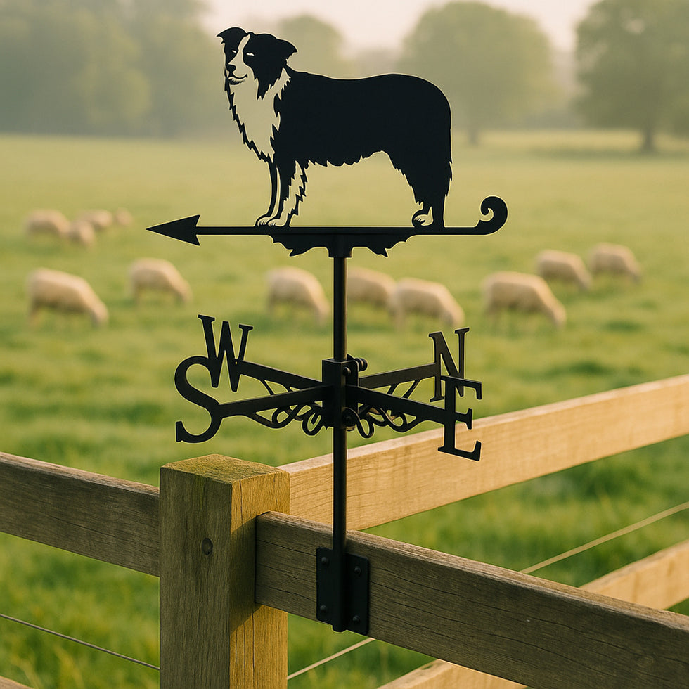 🌬️ Express Your Style with Unique Weather Vanes 🌬️