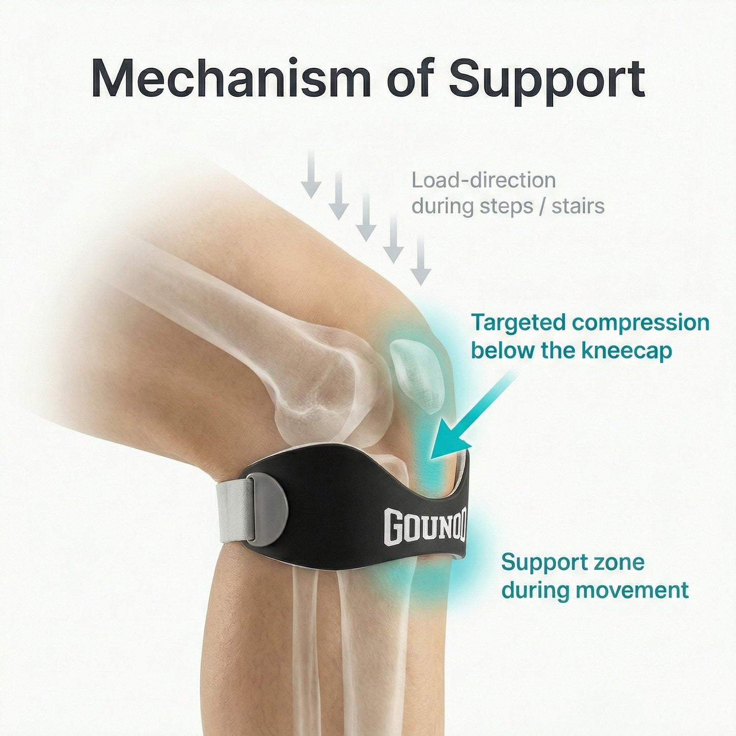 Gounod - Patellar Tendon Support Strap (2 Straps Included)