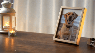 The Best Gift of Reunion🎁3D Pet Holographic House Custom Pet Memorial Display Crystal(Includes software)