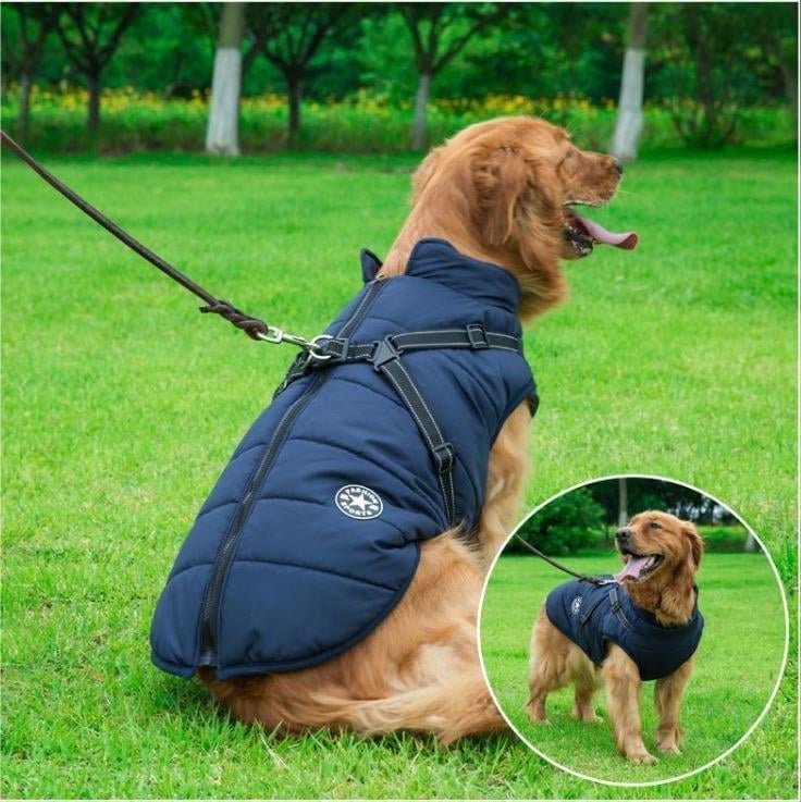 🔥Last Day Promotion 49% OFF - Waterproof Winter Jacket with Built-in Harness