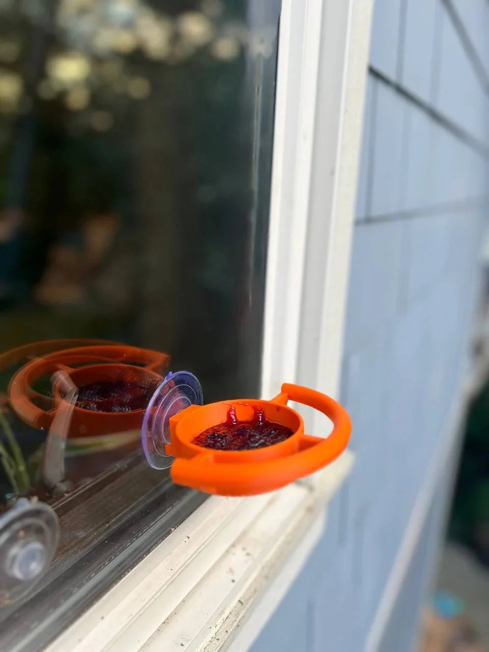 2026 🐦Bird Feeder Suction Cup Holder
