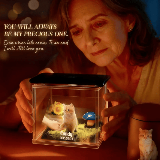 The Best Gift of Reunion🎁3D Pet Holographic House Custom Pet Memorial Display Crystal(Includes software)