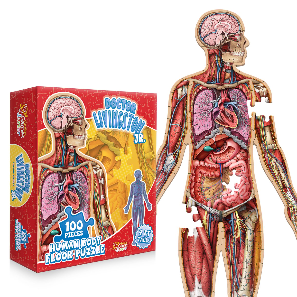 🔥Hot Sale 49% off🌟Kid's 100 Piece Human Body Floor Puzzle