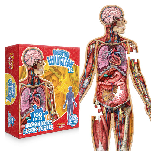 🔥Hot Sale 49% off🌟Kid's 100 Piece Human Body Floor Puzzle