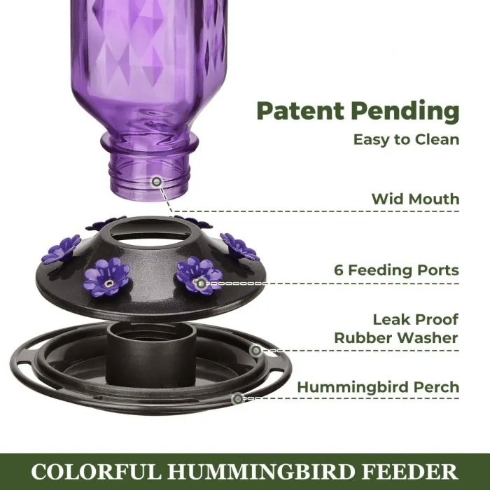 💥 Hummingbird Feeder