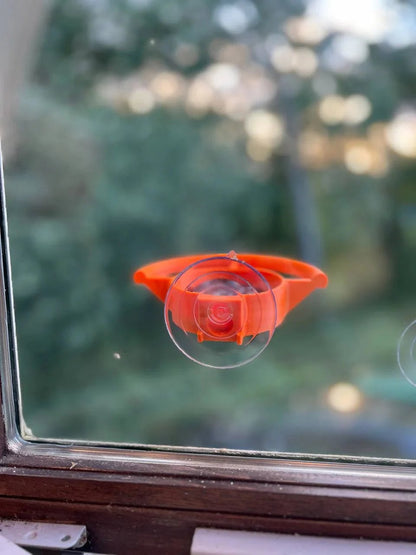 2026 🐦Bird Feeder Suction Cup Holder