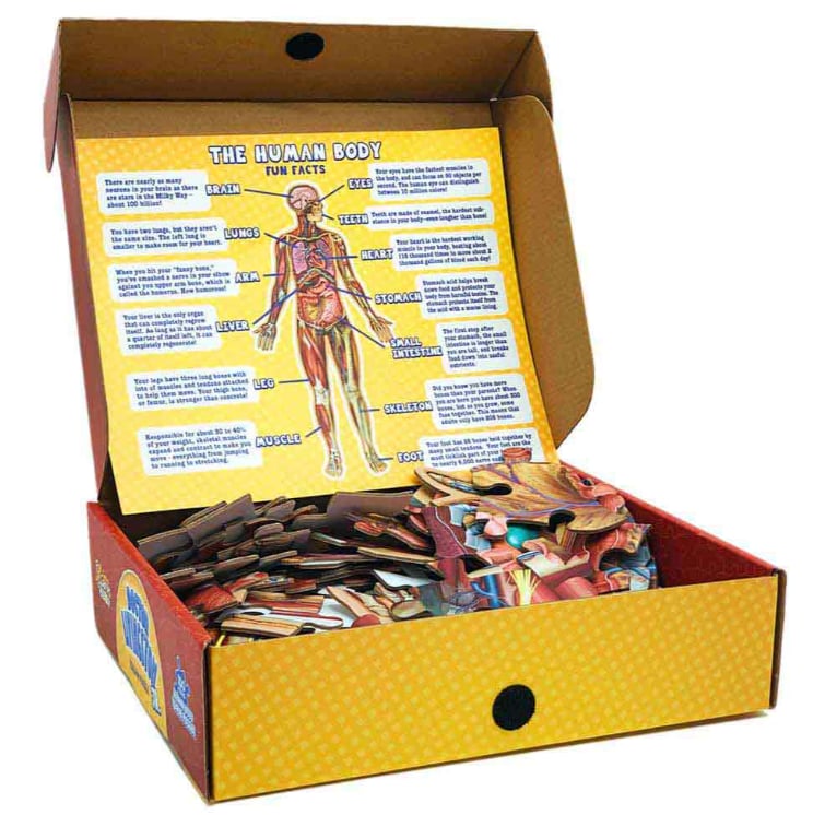 🔥Hot Sale 49% off🌟Kid's 100 Piece Human Body Floor Puzzle