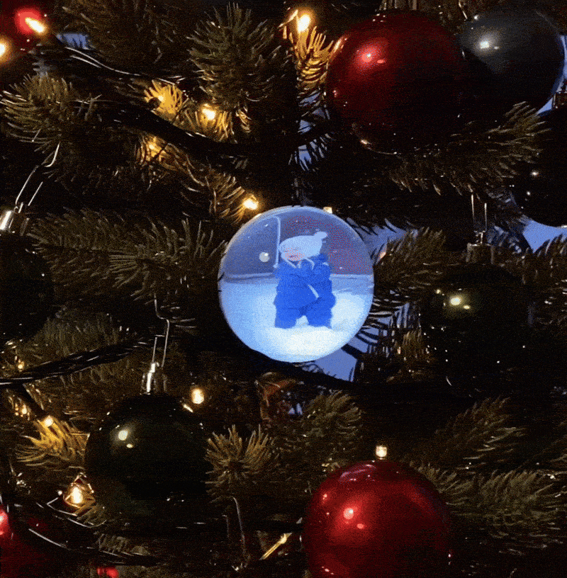 🎄 Lock the beautiful memories in Christmas  Memories Orb