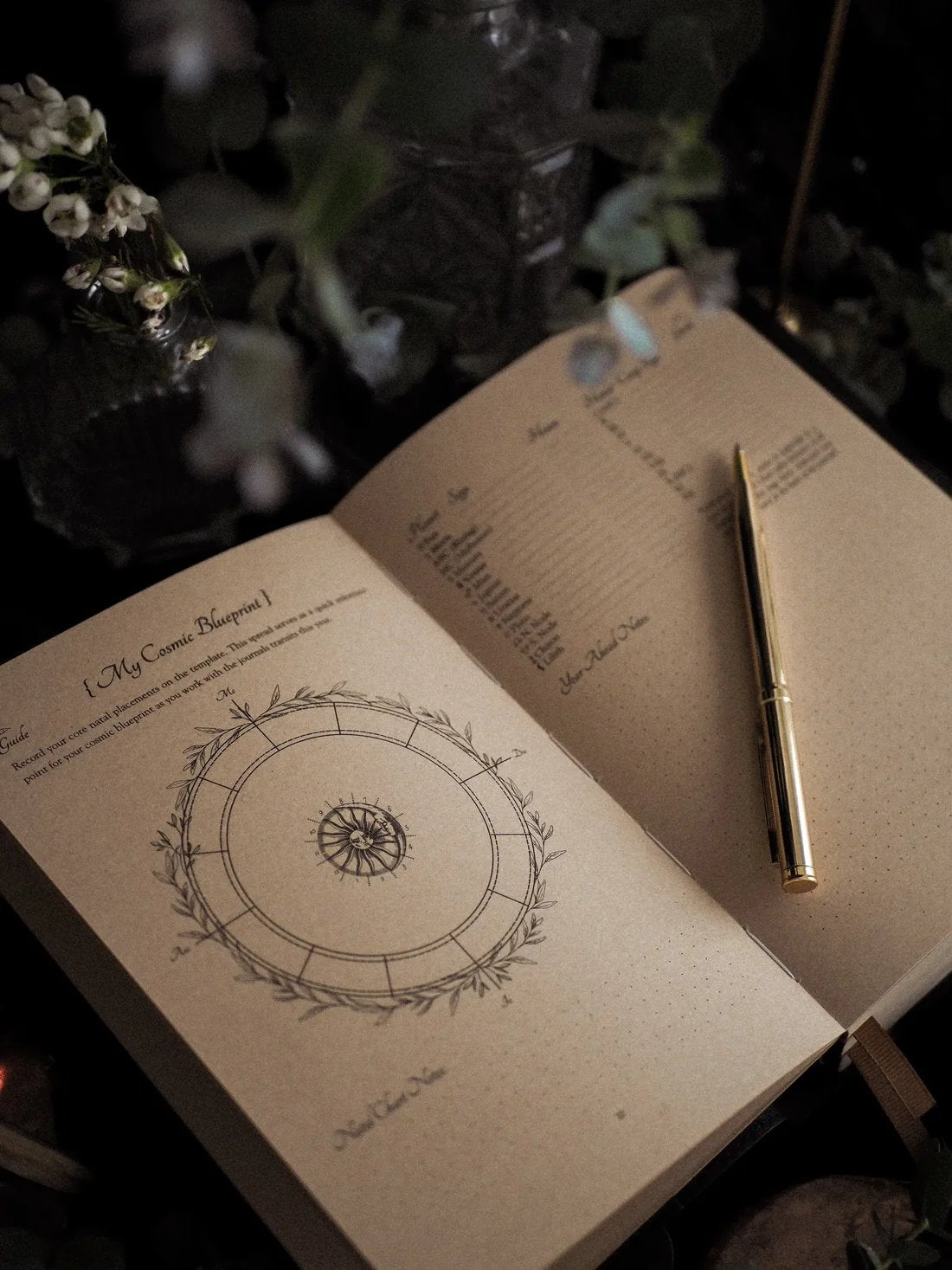 🪐2026 Celestial Journal – Seasonal & Astrological Almanac