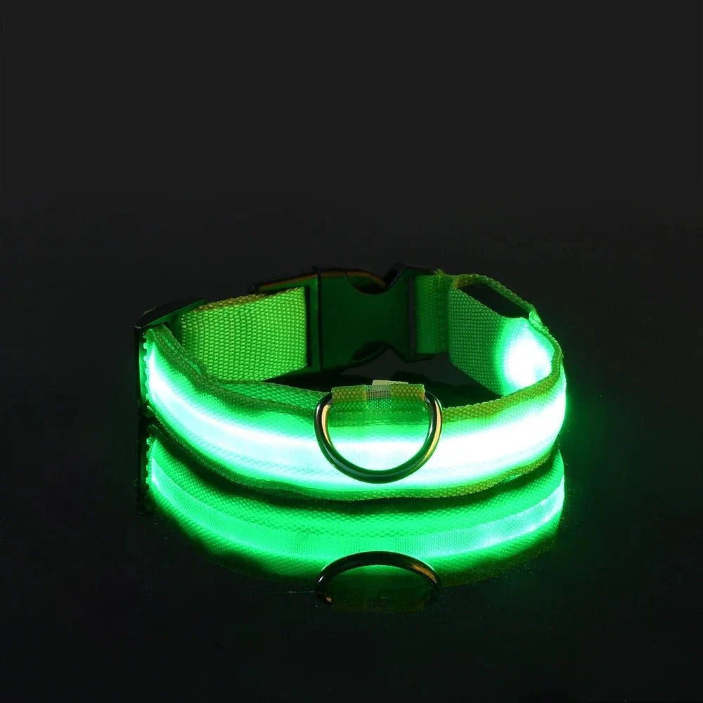 ✨“The Light-Up Dog Collar Every Pet Owner Needs for Night Walks”🐶