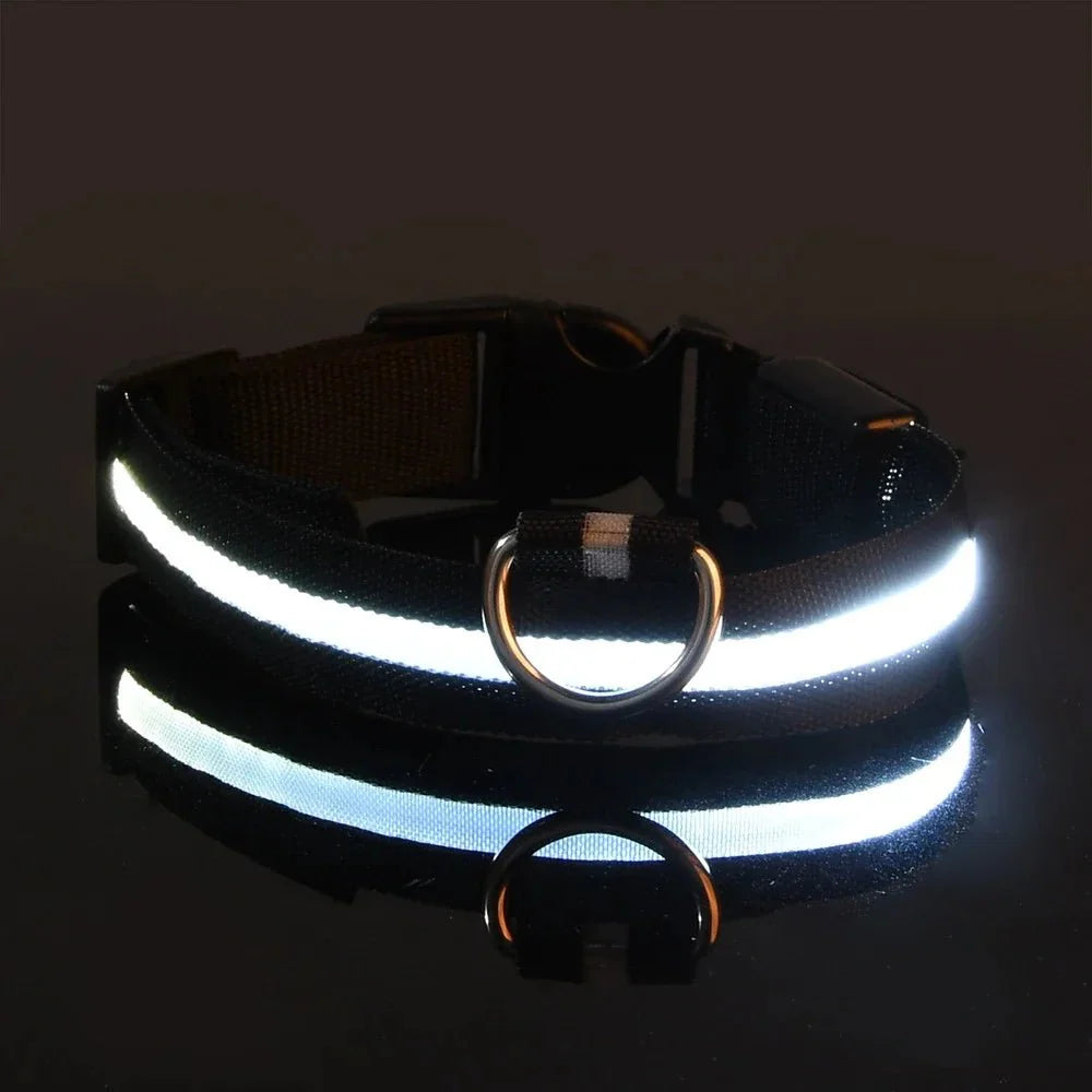 ✨“The Light-Up Dog Collar Every Pet Owner Needs for Night Walks”🐶