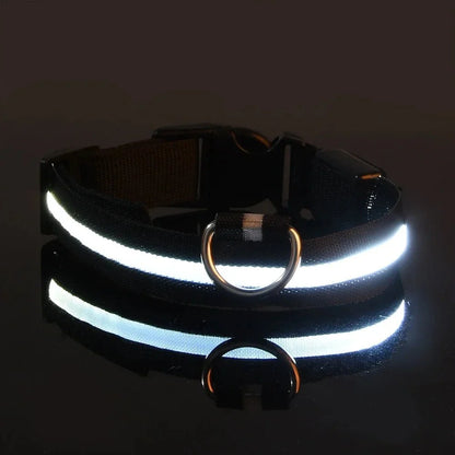 ✨“The Light-Up Dog Collar Every Pet Owner Needs for Night Walks”🐶