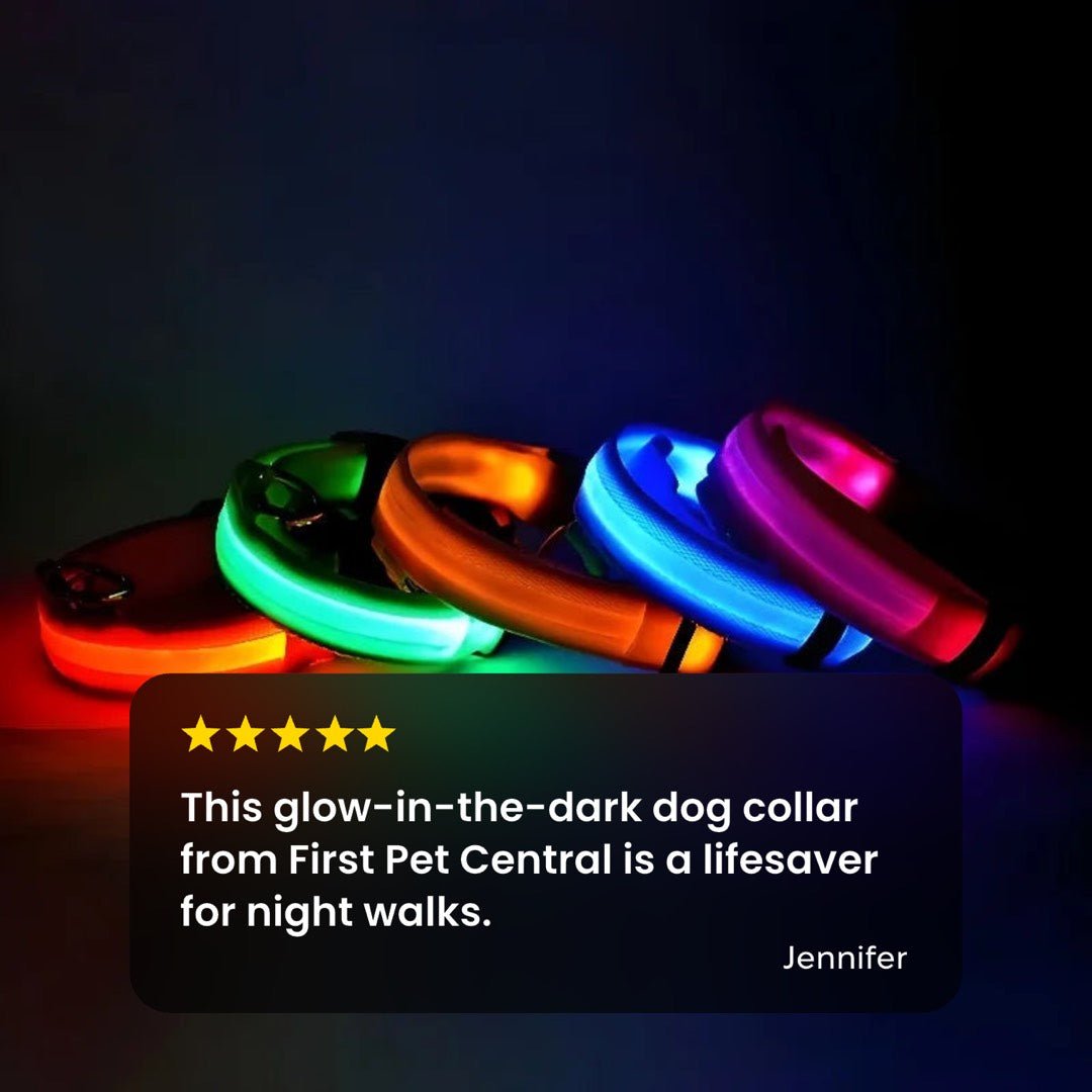 ✨“The Light-Up Dog Collar Every Pet Owner Needs for Night Walks”🐶