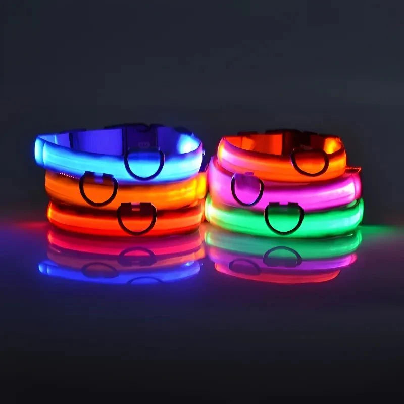✨“The Light-Up Dog Collar Every Pet Owner Needs for Night Walks”🐶